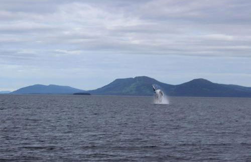 Rustic Room Rental in a Lodge for a Fishing Vacation on Kodiak Island, Alaska - Foto 6