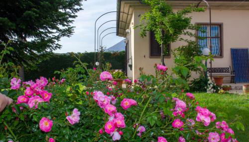 Villa Giulia - Foto 2