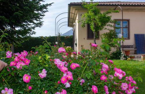 Villa Giulia - Foto 2