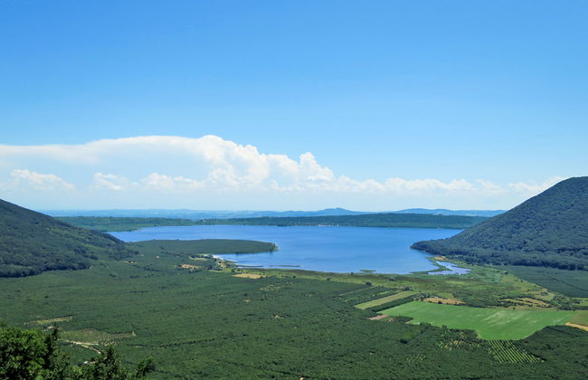 Casale Ai Noccioli (LVC165) - Foto 39