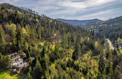 LEŚNE ZACISZE Wisła - Jacuzzi, Bacówka, Niesamowite Widoki - Foto 42
