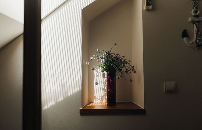 Studios Belvi - Photo 22