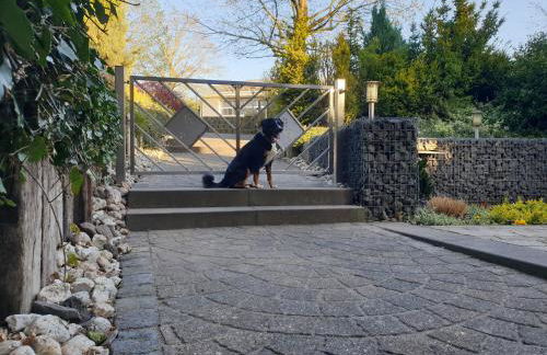 fewo-elzerhof - Foto 15