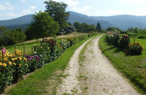 Ferienwohnung Pusteblume - Foto 25