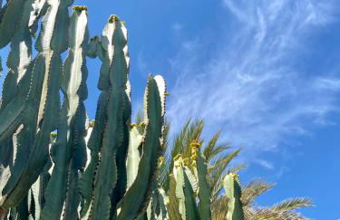 Apart-hotel Acapulco Ocean View - Foto 53