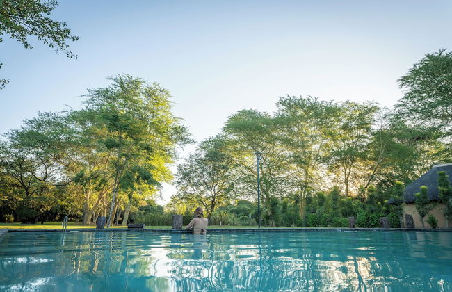 Bush Villas on Kruger - Photo 18