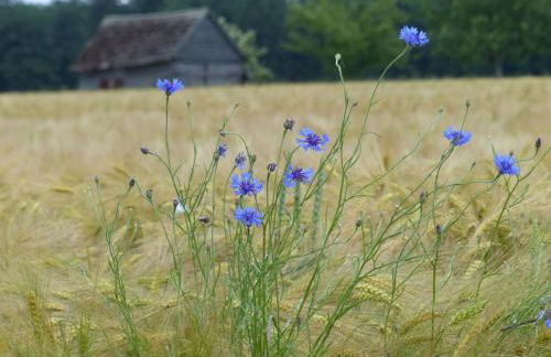 WERTS HOF Apartment 1 - Foto 12