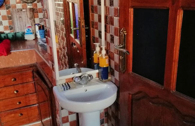 The Little Seagull 2 - Foto 11