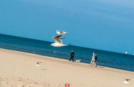 Park Resort Trzęsacz - Foto 2