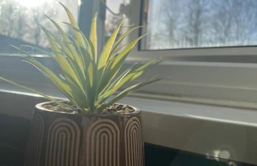 4 En-Suite Rooms-Walk to Warwick Hospital-Ideal for Professionals & Contractors - Foto 29