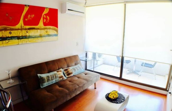 Apartamentos Premium Capital Nueva Providencia - Foto 24