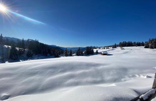 Villa Silvia - Photo 79