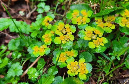 Heidi Away - Foto 20