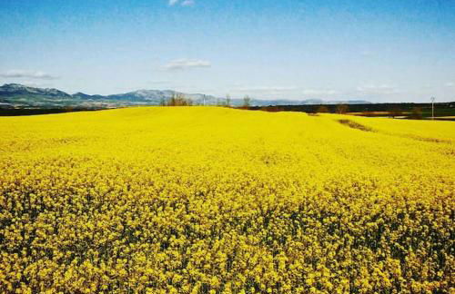 Casa Rural el Pajar de Tenzuela - Foto 30