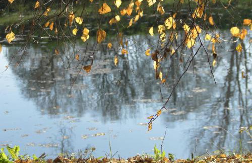 Stajnia Lisewo - Foto 17