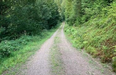 Ferienwohnung Gaby Lehmann - Photo 11