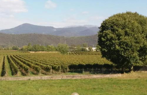 CASETTA MIRAVIGNA cozy flat with garden in Franciacorta & Iseo Lake - Foto 37