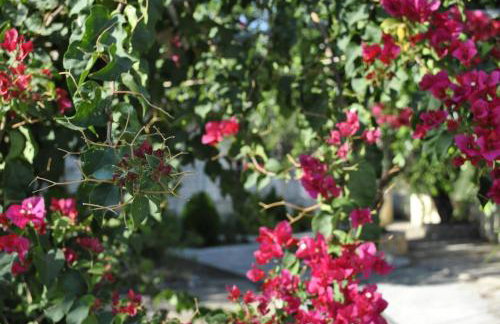 Chouzourakis Studios - Foto 10