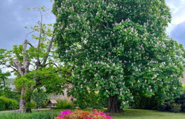 La Maison Gavraise - Foto 8