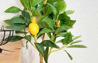 LE BILBAO, T2, centre-parking gratuit-terrasse - Photo 9