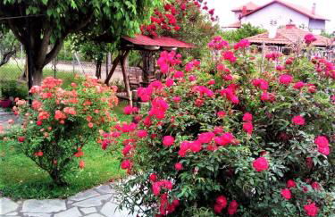 Villa Jenny - Foto 42