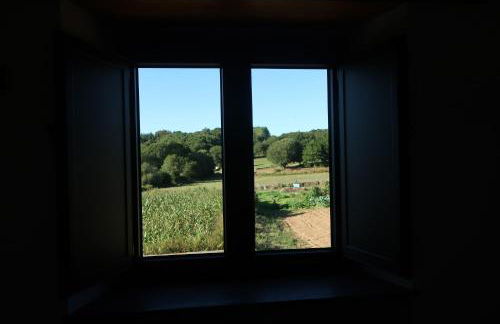 A Palleira de Lola - Foto 23