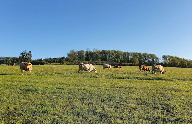 Silbecke Forest View Apartment - Foto 26