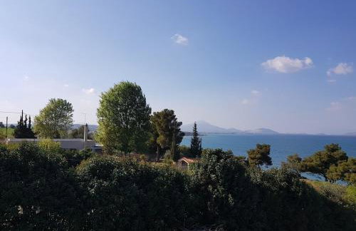 Beachfront House Villa 35min from Athens - Foto 24
