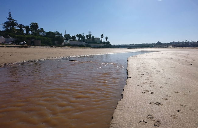 Artistica Suite - La Siesta - Foto 37