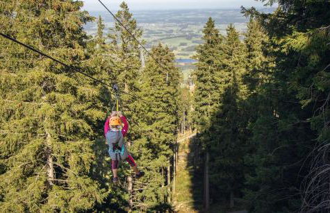 FeWo Froschkönig mit Sauna & Bergblick, Self-Check-in, WLAN, Parkplatz, zentrumsnah - Foto 31
