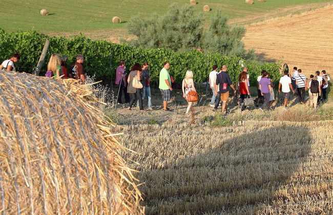 Apartment in Coriano Near Vineyards & Beaches - Foto 19