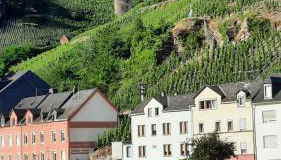 Ferienwohnung Roter Riesling - Foto 4