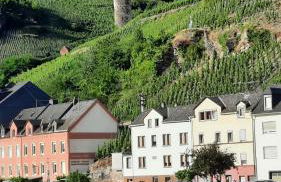 Ferienwohnung Roter Riesling - Foto 4