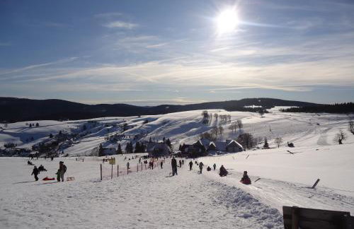 Familien-Appartement Schwarzwald bei Freiburg mit bis zu 4 Schlafzimmern - Foto 23