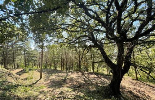 Little Umbria Guest House - Foto 29