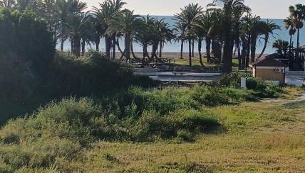 APARTAMENTO PLAYA LA VIÑA P - Foto 2