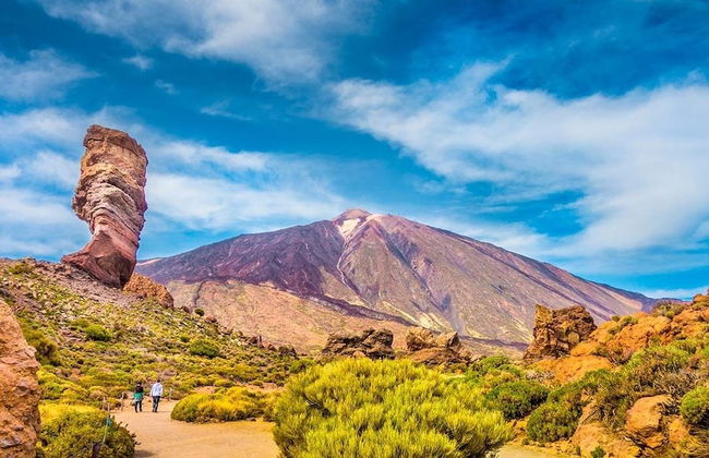 Finca El Castillo - Foto 80