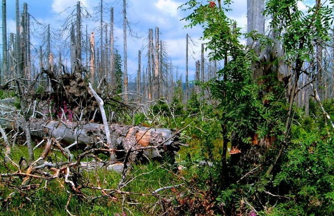 Mitterdorf Modern Retreat - Foto 16