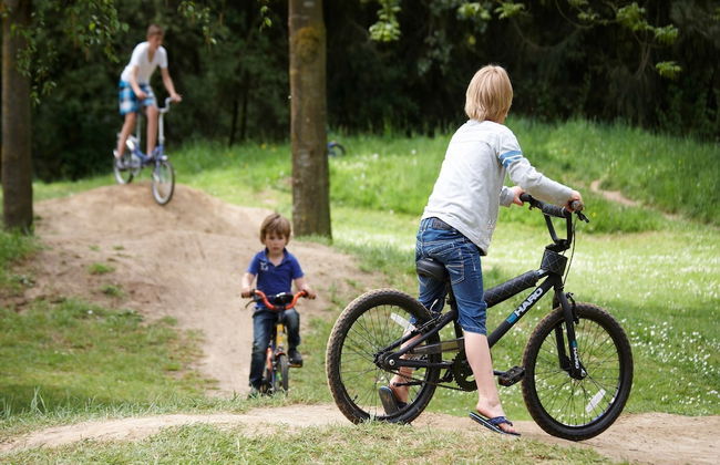 Villa With Sauna & Bubble Bath in Limburg - Photo 14