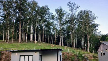 Casa do Bem Estar Picada Café - Foto 2