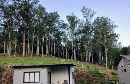 Casa do Bem Estar Picada Café - Foto 2