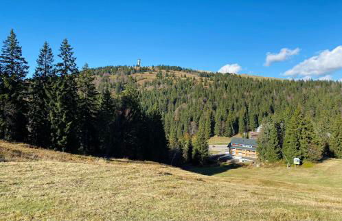 Ferienwohnung Feldberg Schwarzwald - Foto 44