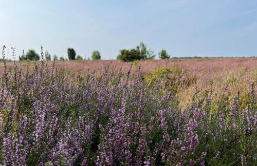 BigOak Wintermoor Schneverdingen - Foto 18