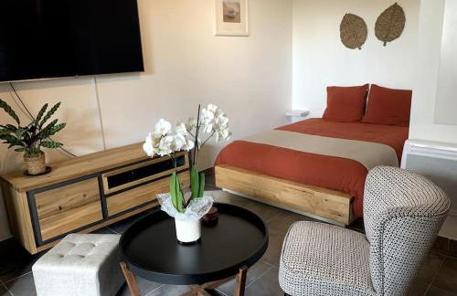 Grand studio avec coin nuit, proche mer et montagnes - Foto 7