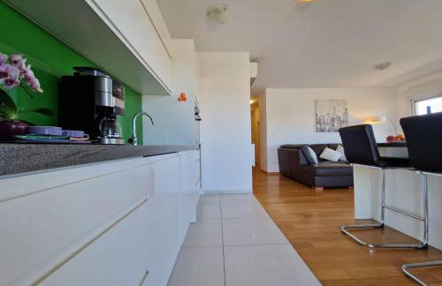 Luxury Penthouse "MANK" with private Parking - Foto 21
