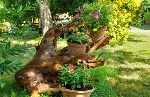 Italian Experience- Podere Vallino - Foto 19