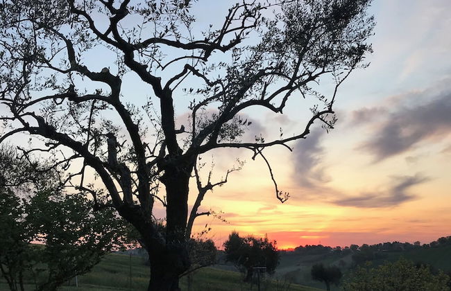 Ancient Country House With Swimming Pool - Foto 45