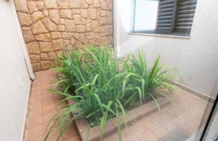 Jahu Center Home - Photo 79