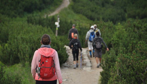 Allez aux chutes d'eau