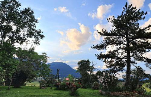 Agriturismo Il Raggio di sole di Orpello - Photo 5